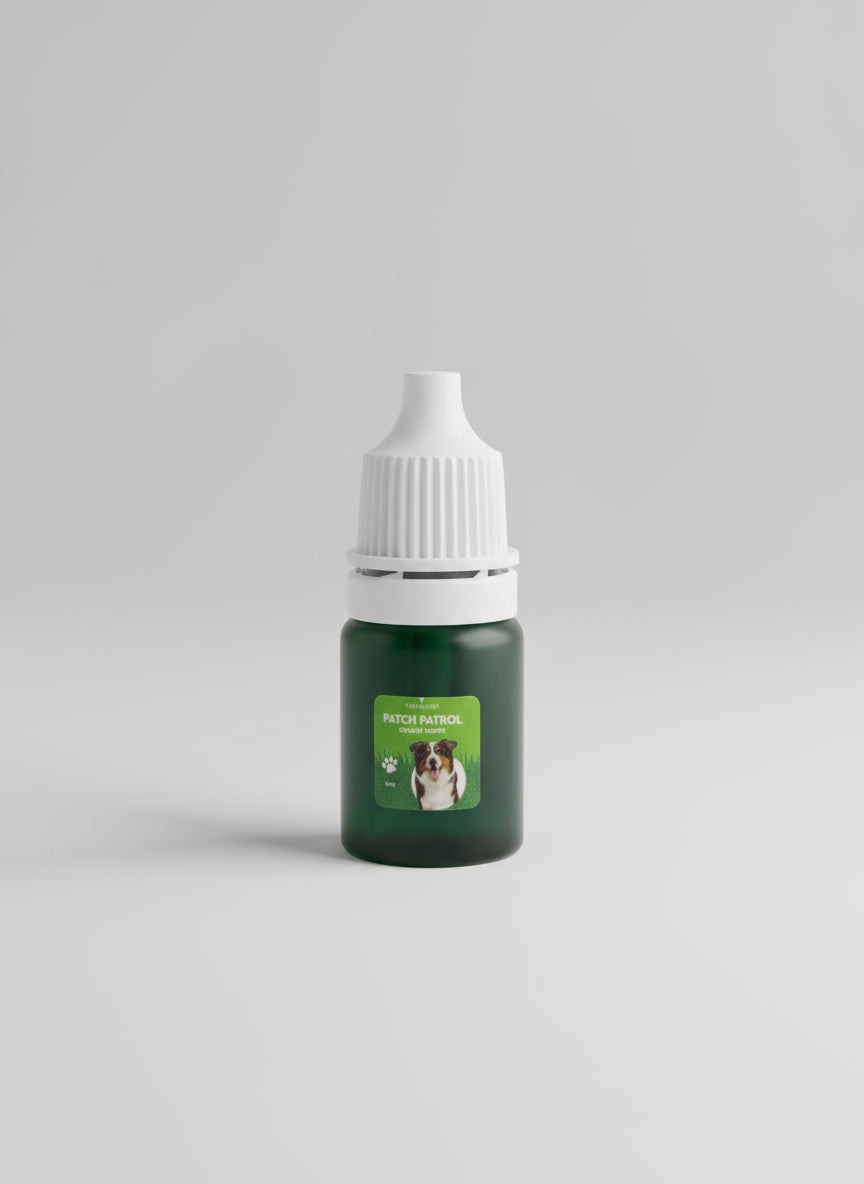 Patch Patrol Lawn Kit